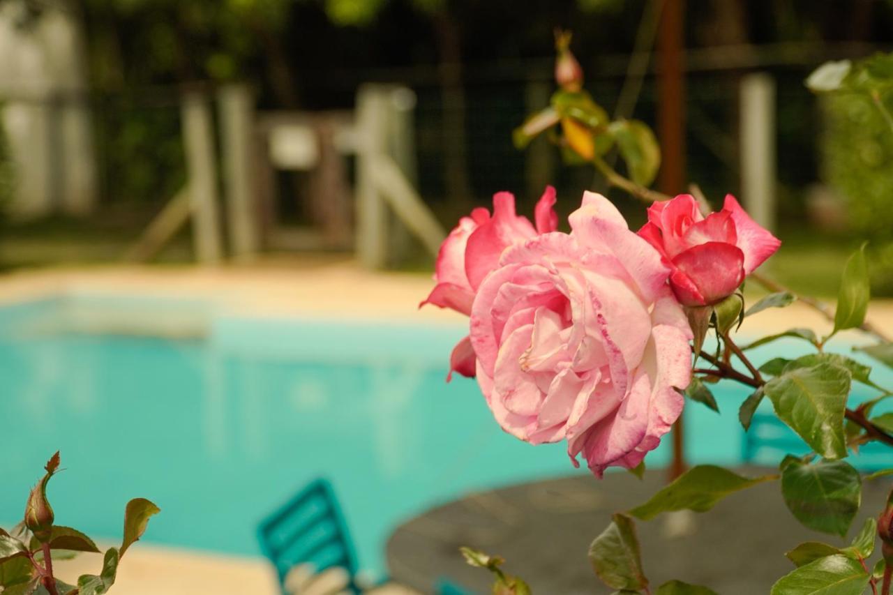 Pousada Dunasol Floripa Florianópolis المظهر الخارجي الصورة