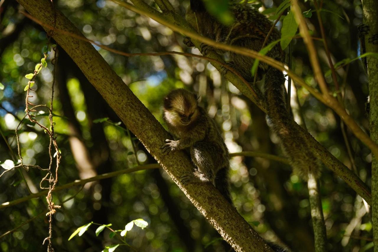 Pousada Dunasol Floripa Florianópolis المظهر الخارجي الصورة